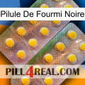 Black Ant Pill new10